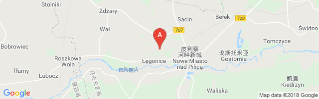 Nowe Miasto nad Pilica Airfield Airport图片
