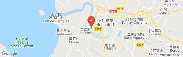 Rochefort Soubise Airport图片