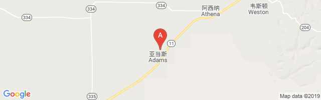 Davis Airport图片