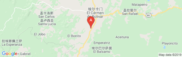Carmen De Bolivar Airport图片