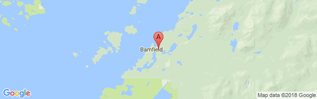 邦尼维尔机场 Bamfield Seaplane Base Airport图片
