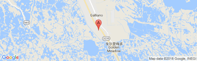 Air Logistics Galliano Airport图片