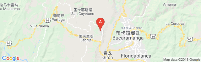 Palonegro Airport图片