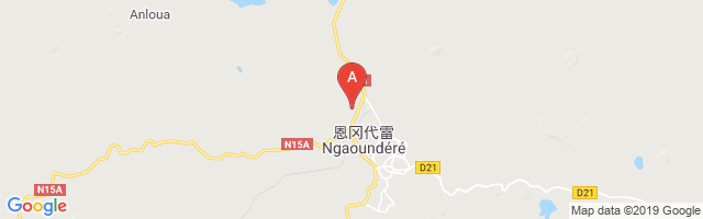N'Gaoundéré Airport图片