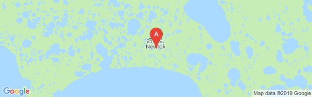 Newtok Airport图片
