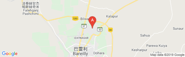 Bareilly Air Force Station Airport图片