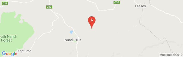 Kapsumbeiwa Nandi Airport图片