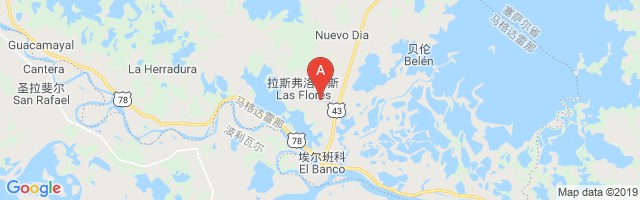 Las Flores Airport图片