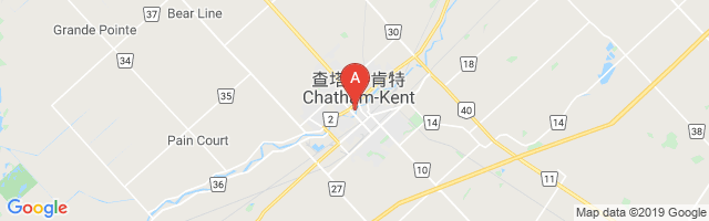 Chatham (Public General Hospital) Airport图片