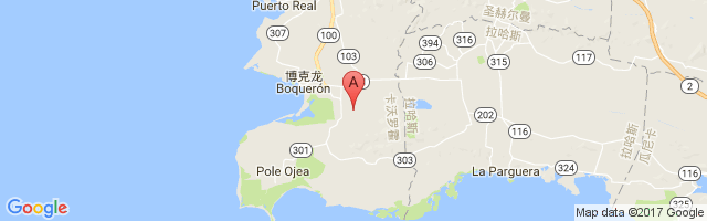Boqueron Airport图片