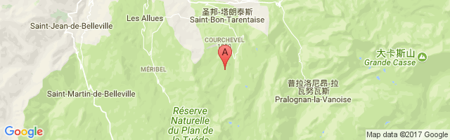 Courchevel Airport图片