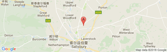 Old Sarum Airfield Airport图片