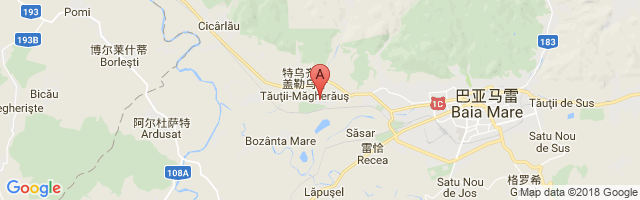Tautii Magheraus Airport图片