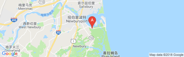 Plum Island Airport图片
