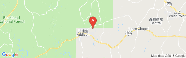 Addison Municipal Airport图片