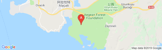 Alaçatı Airport图片