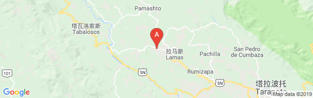 Lamas Airport图片
