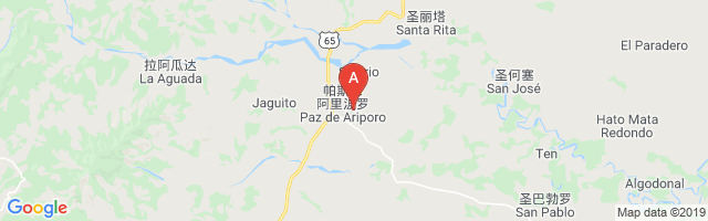 Paz De Ariporo Airport图片