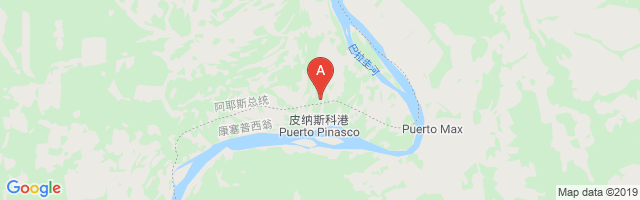 Puerto Pinasco Airport图片