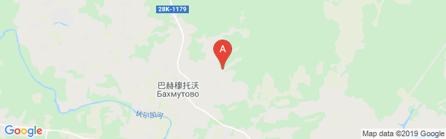 Bakhmutovo Air Base Airport图片