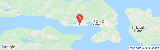 Natuashish Airport图片