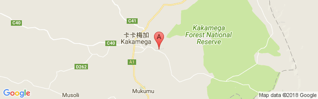 Kakamega Airport图片