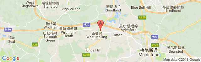 West Malling Airport图片