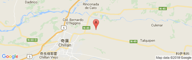 Gral. Bernardo O´Higgins Airport图片