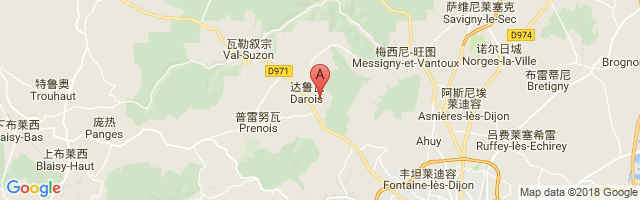 Dijon Darois Airport图片