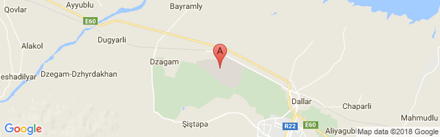 Dollyar Air Base Airport图片