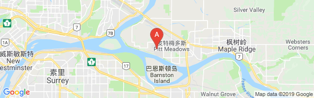 Pitt Meadows Airport图片