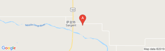 Sargent Municipal Airport图片