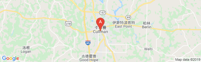 Cullman Medical Center Airport图片