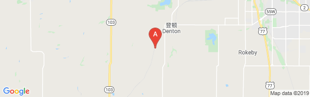 Denton Airfield Airport图片
