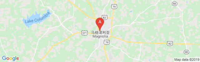 Magnolia Hospital Airport图片