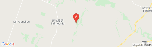 Fazenda Ipameri Airport图片