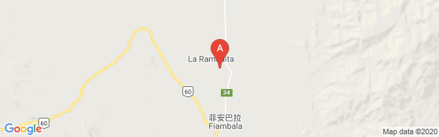 Fiambala Airport图片