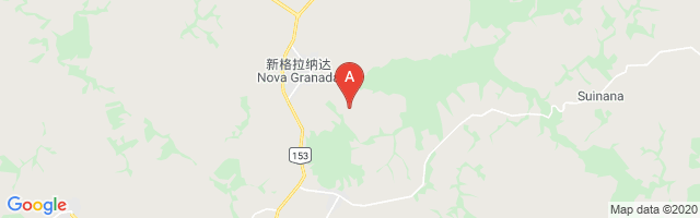 Fazenda São João Airport图片