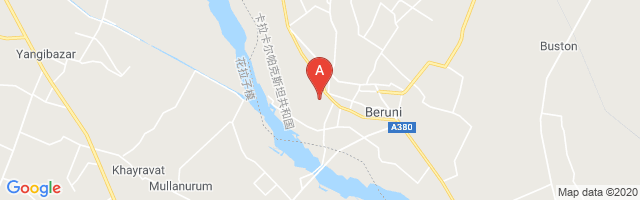 Beruni Airport图片