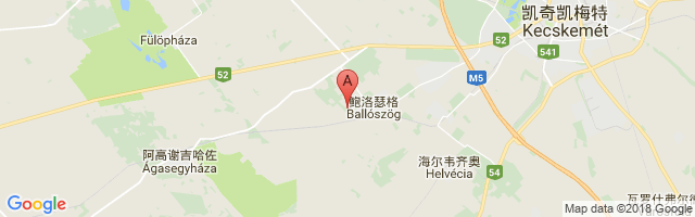 Ballószög Airport图片
