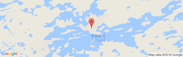 Cat Lake Airport图片