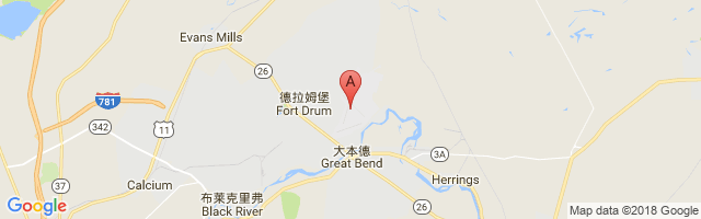 Wheeler Sack Army Air Field Airport图片