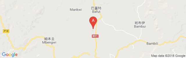 Bamenda Airport图片