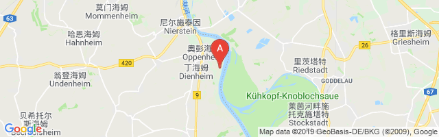 Oppenheim Airport图片