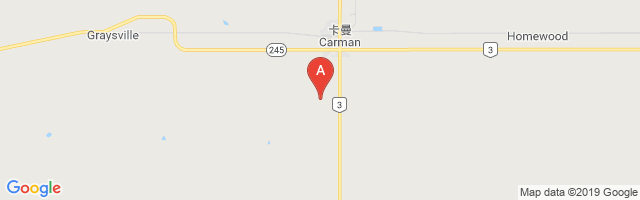 Carman (South) Airport图片