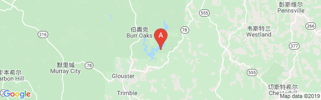 Burr Oak Lodge Airport图片