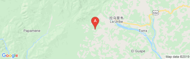 Uribe Airport图片