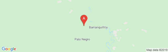Barranquillita Airport图片