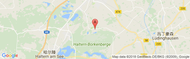 Borkenberge Airport图片