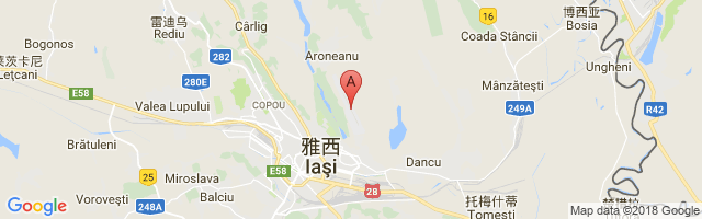 Iaşi Airport图片